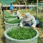 กรุงเทพมหานคร เร่งเปิด ศูนย์พักคอยเพื่อส่งต่อ 6 กลุ่มเขต