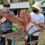สปสช.-สสส. ร่วมสำรวจชุมชนต้นแบบ ‘นิมิตรใหม่เมืองมีน’ วางระบบกักตัวที่บ้าน-ในชุมชน ผนึก รพ.ปิยะเวท ให้การดูแล
