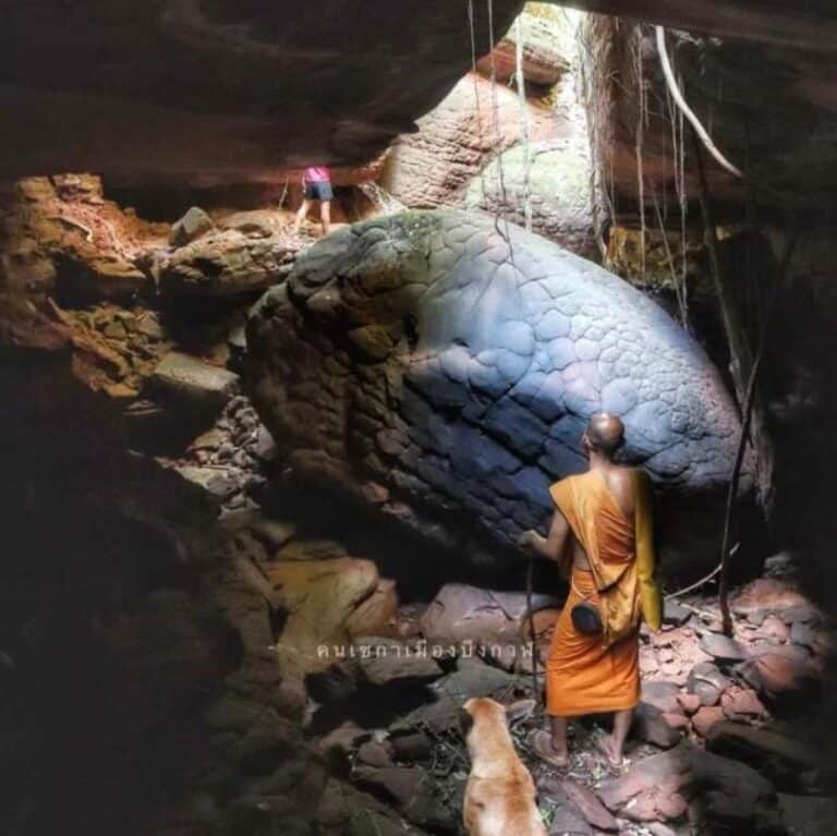 “หินหัวงู-หินลิงถูกงูรัด” ธรรมชาติมหัศจรรย์แห่งถ้ำศรีพรหม ภูวัว อ.บึงโขงหลง จ.บึงกาฬ