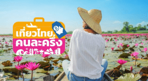 ผู้ประกอบการท่องเที่ยวแห่ชิงเค้ก “เที่ยวไทยคนละครึ่ง” 1.7 พันล้านบาท โรงแรมเปิดศึกใหญ่ดึงยอดเข้าพัก